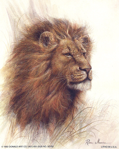 Lion Granduer 5 x 3 - C0095