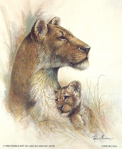 Mothers Pride Lioness and cub 5 x 3 - C0097