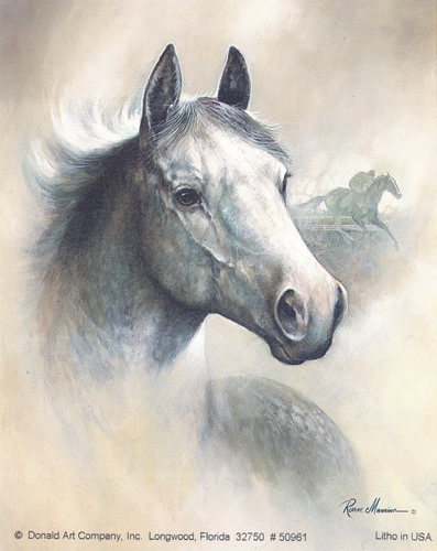Race Horse 11 Size 5 X 4 - C0099