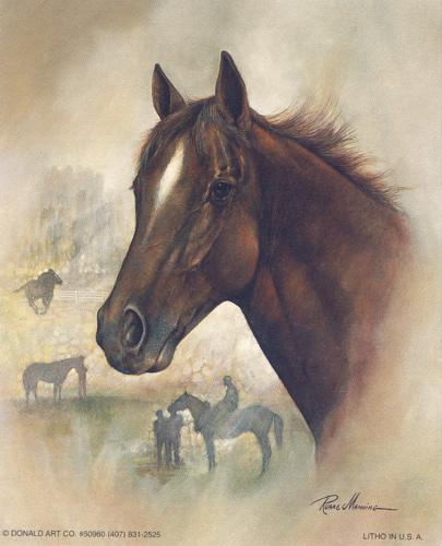 Race Horse Size 5 x 7 - C0265