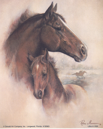 Race Horse 1V Size 5 x 4 - C0101