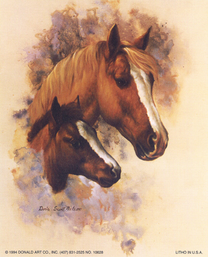 Horse Portrait 1V Size 5 x 4 - C0103
