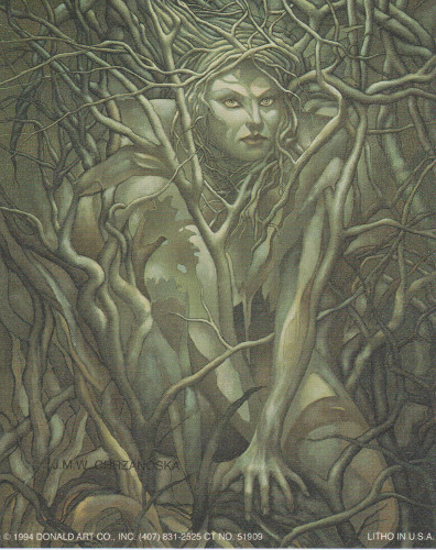 Camouflage 51910 Print Size 5 x 4 - C0121