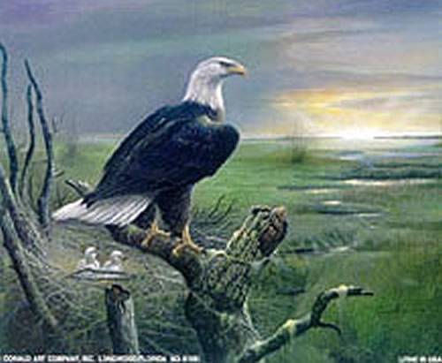 Beauty At Sunset bird 4 x 5 - C0154