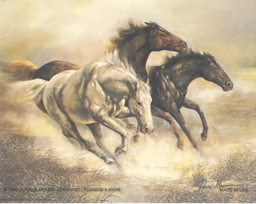 Wild Horses 1 Size 5 x 4 - C0165