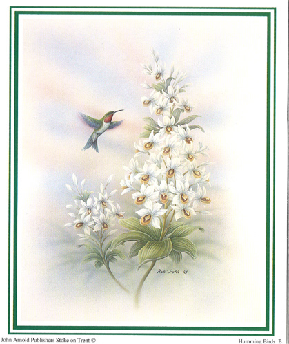Humming Birds 5 x 6 - C0196