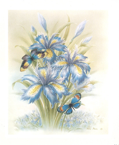 Iris D 5 x 6 - C0202