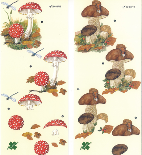 Toadstools Pack of 2 designs - C0346