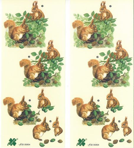 Squirrels Pack of 1 designs - C0358