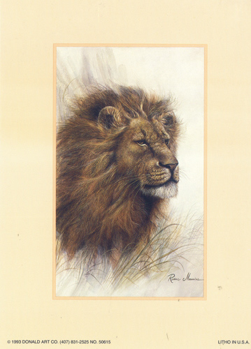 Lion Prints Size 5 x 7 - C0454