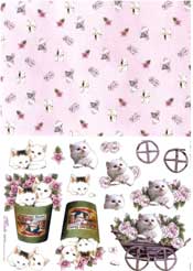 Cats - E122