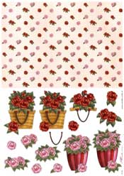 Roses and Vellums - E135