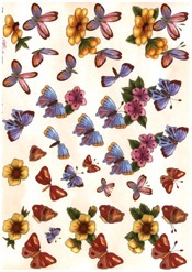 Butterflies - E165N