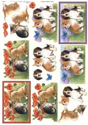 Pups And Kittens - E504N