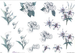 Roses and Lilies - E612