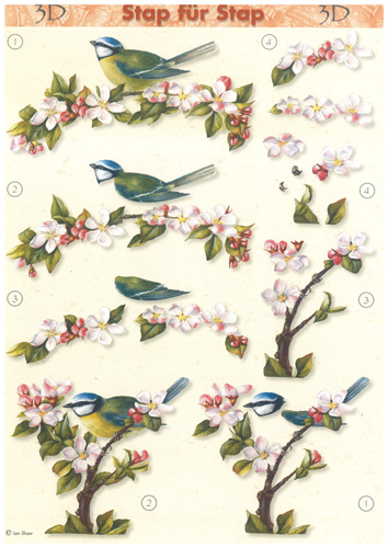 Birds - PU002