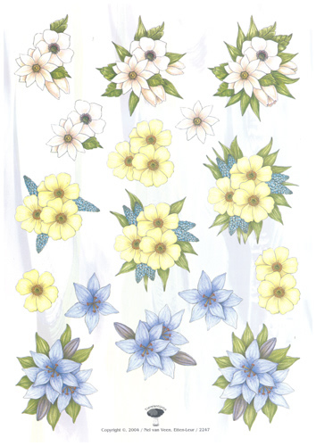 Flowers - PU2247