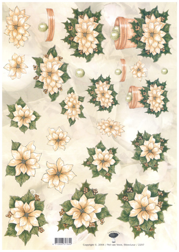 Flowers - PU2257