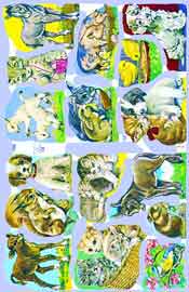 Domestic Baby Animals - S1488
