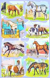 Horses x 8 - S1532