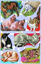 Cats - S1539