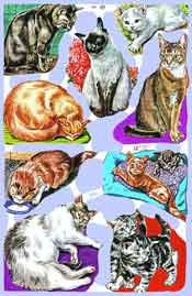 Cats 9 - S1540
