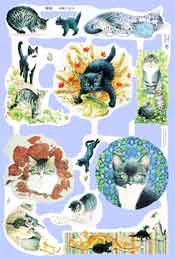 Cats 1 - S1816