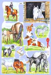 Horse Compost - S1819