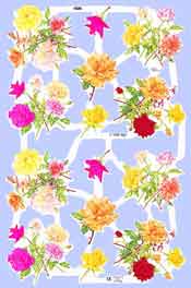 Roses composite - S1820