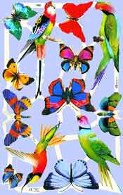 Parrots/ Butterflies - S1960
