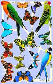 Parrots/Butterflies - S1961