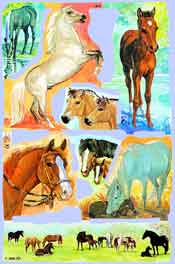 Horses x 8 - S1976
