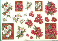 Red & White Flowers - X293