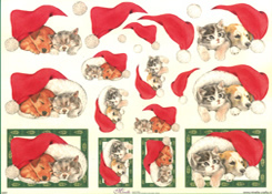 Cat & Dog In Santas Hat - X297