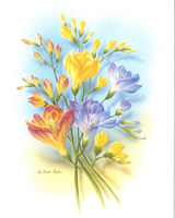 Prints Fluer Amour C Pack of 6 prints Print Size 5 x 6 - C0537