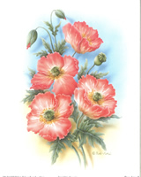 Prints Fluer Amour B Pack of 6 prints Prinst Size 5 x 6 - C0534