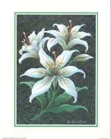 Victorian fantasy 4 - 064