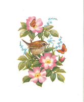 Wren Birds with Flowers Print Size 10 x 8 - 066