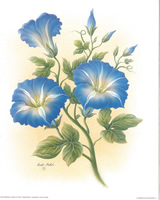 Garden Favorites 2 - 121