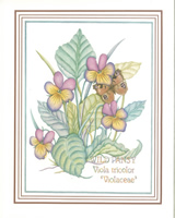 Wild Pansies 10 x 8 Pack of 5 Prints - 1234101