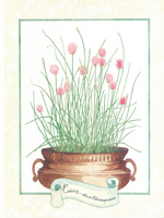 Chives 10 x 8 Pack of 6 Prints - 1234132