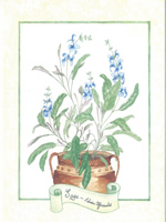 Sage 10 x 8 Pack of 6 Prints - 1234135