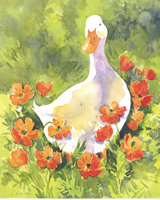 In the Flowers 1 10 x 8 Pack of 6 prints - 123456