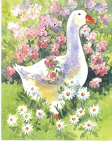 In the flowers 3 10 x 8 Pack of 6 prints - 123458