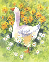 In the flowers 4 10 x 8 Pack of 6 prints - 123459