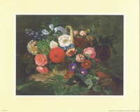 Jensens A 8 x 10 Pack of 6 prints - 123482