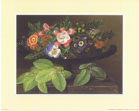 Jensens D 8 x 10 Pack of 6 prints - 123483