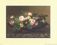 Jensens B 8 x 10 Pack of 6 prints - 123484