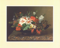 Jensens C 8 x 10 Pack of 6 prints - 123485