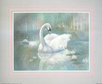 Swan 51287 Print Size 10 x 8 - 1655